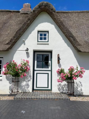Reetdachhaus, Sauna, E-Bikes, 6 Personen